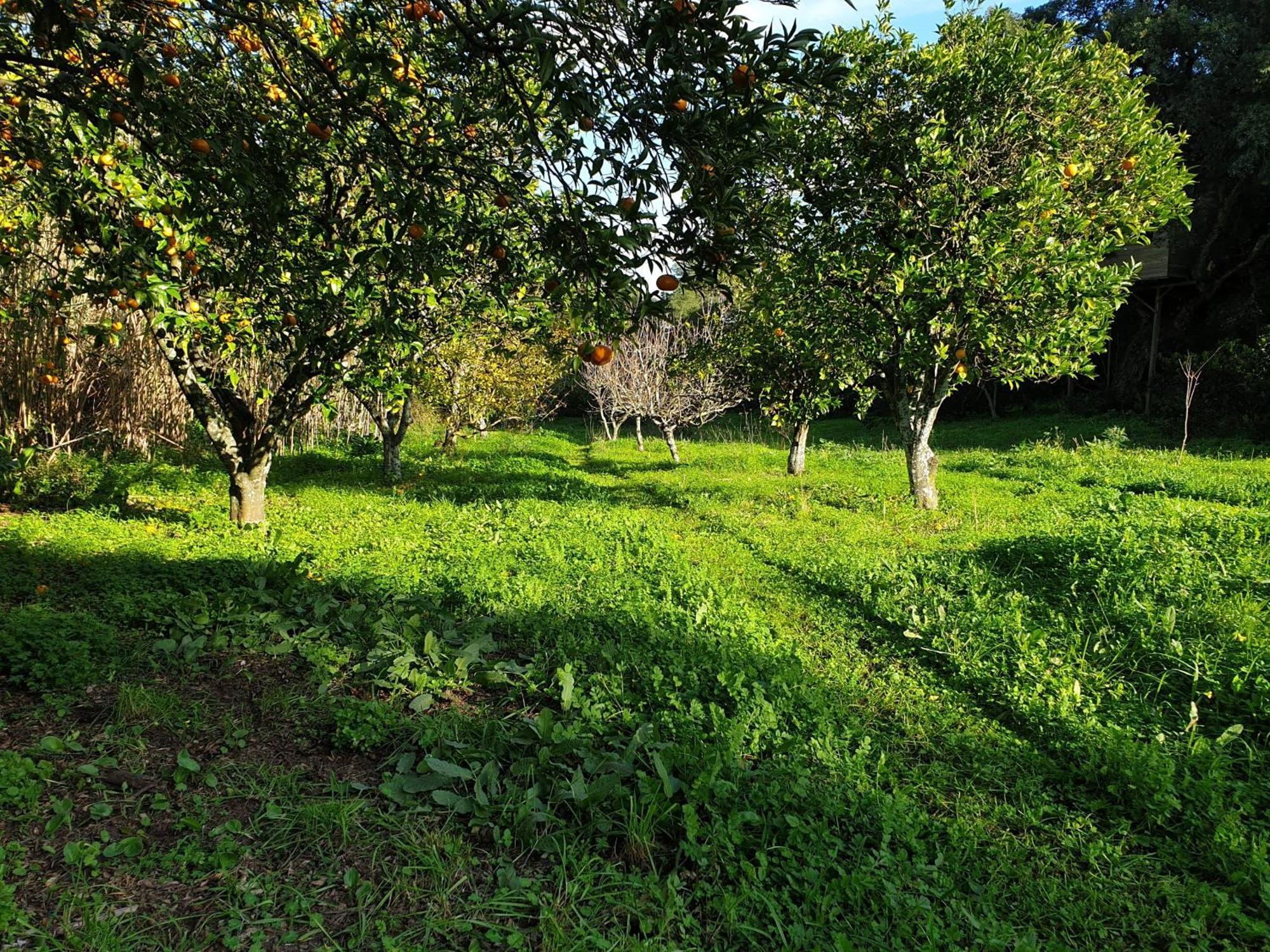 Willa Quinta De Sao Pedro Sobreda Zewnętrze zdjęcie